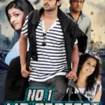 Free Mr. Perfect (2011) (Hindi + Telugu) Dual Audio UnCut South Movie BluRay HD ESub